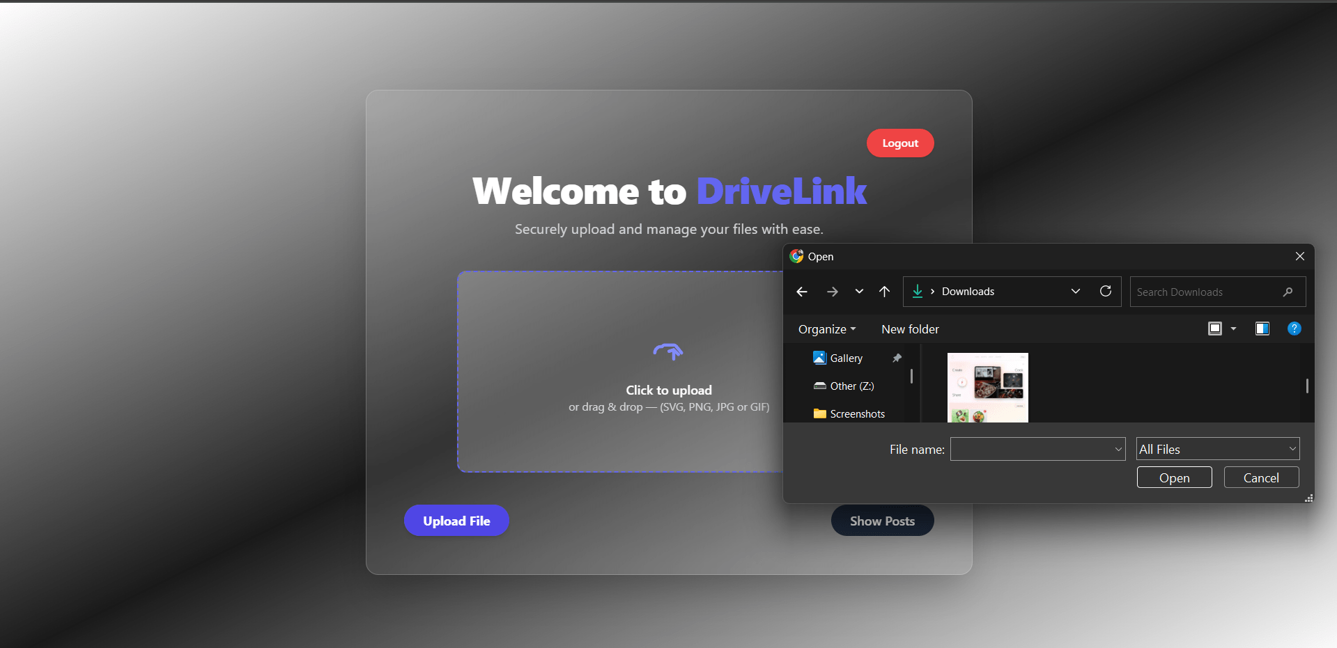 DriveLink project preview